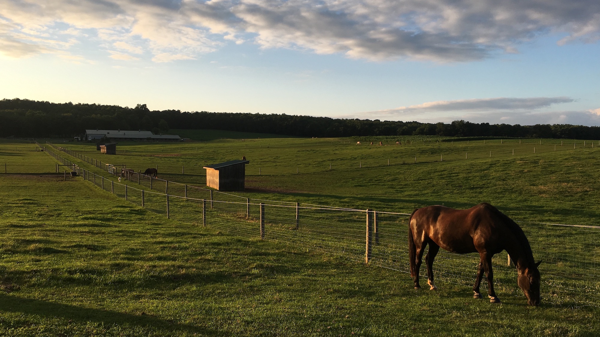 farm panorama