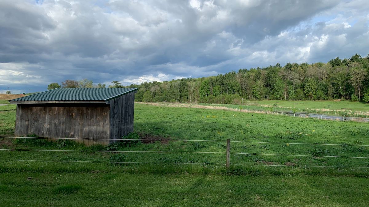 run-in shed