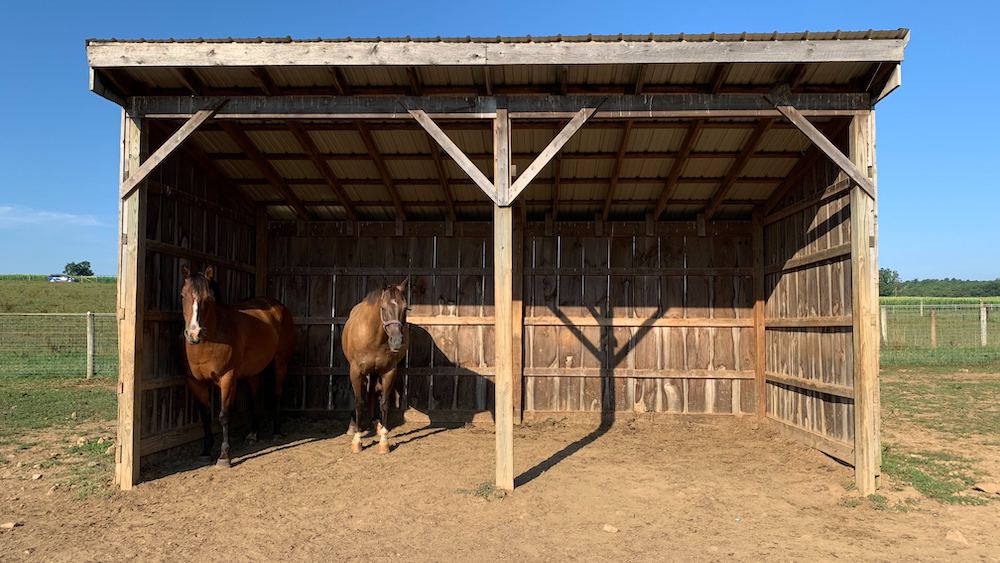 run-in shed